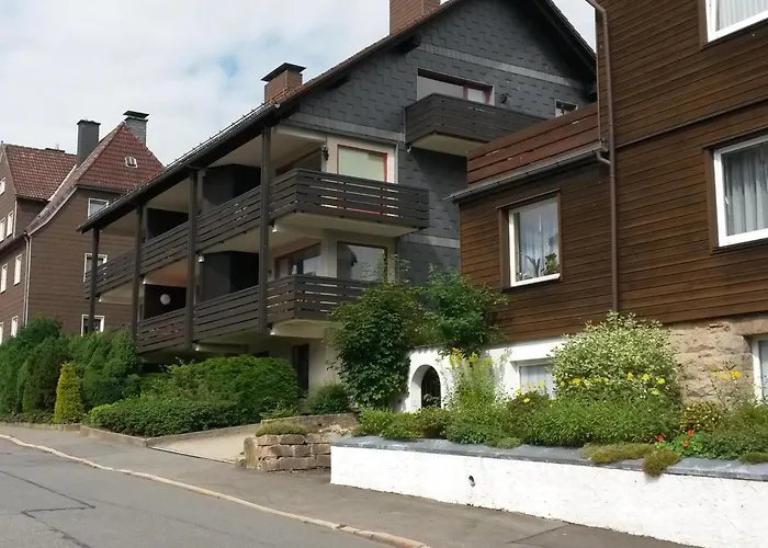 Апартаменты Heavenly Harz *